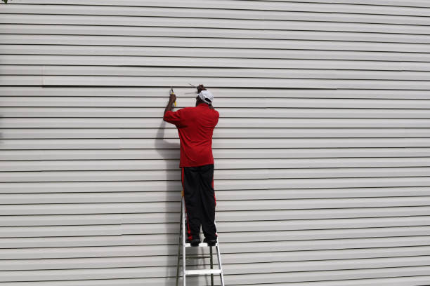 Affordable Siding Repair and Maintenance Services in Greenwich, OH